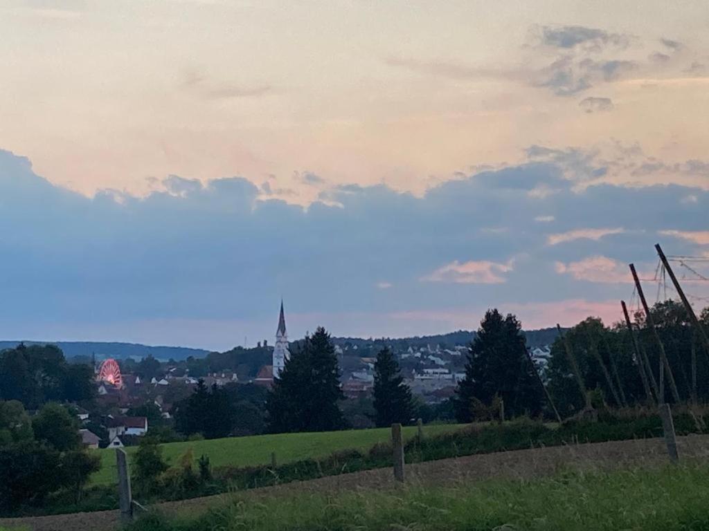 Oekohotel Aus Holz Alea Eco Pfaffenhofen an der Ilm Buitenkant foto